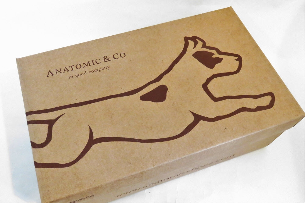 【Men's】ANATOMIC&CO(アナトミックアンドコー) 足幅が細い方にお勧めのビジネスシューズです。