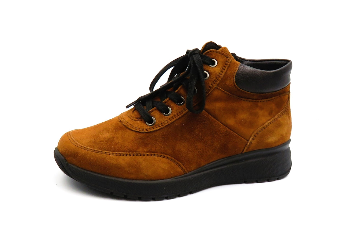 566605 MOLDAVO.TANZA