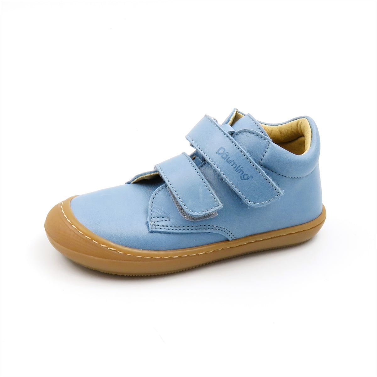 
                  
                    070811 CELEST.CIELO
                  
                