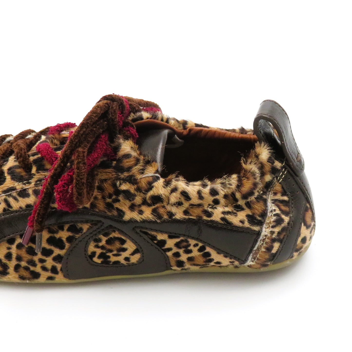 
                  
                    ACANT OMEGA LINCE.LE
                  
                