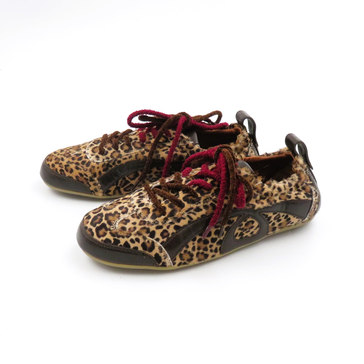 
                  
                    ACANT OMEGA LINCE.LE
                  
                