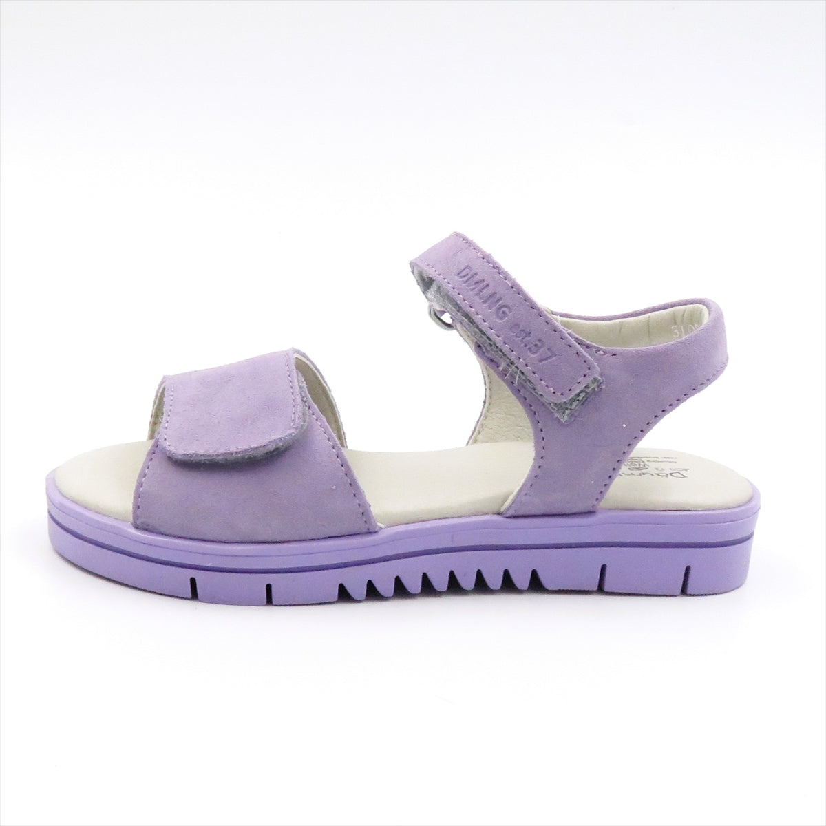 
                  
                    310271 T.VIOLETTO
                  
                
