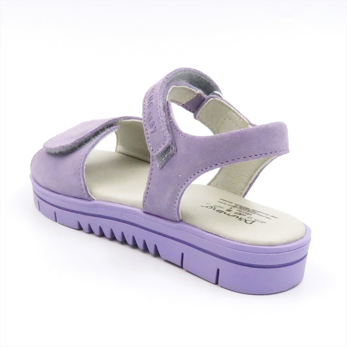 
                  
                    310271 T.VIOLETTO
                  
                