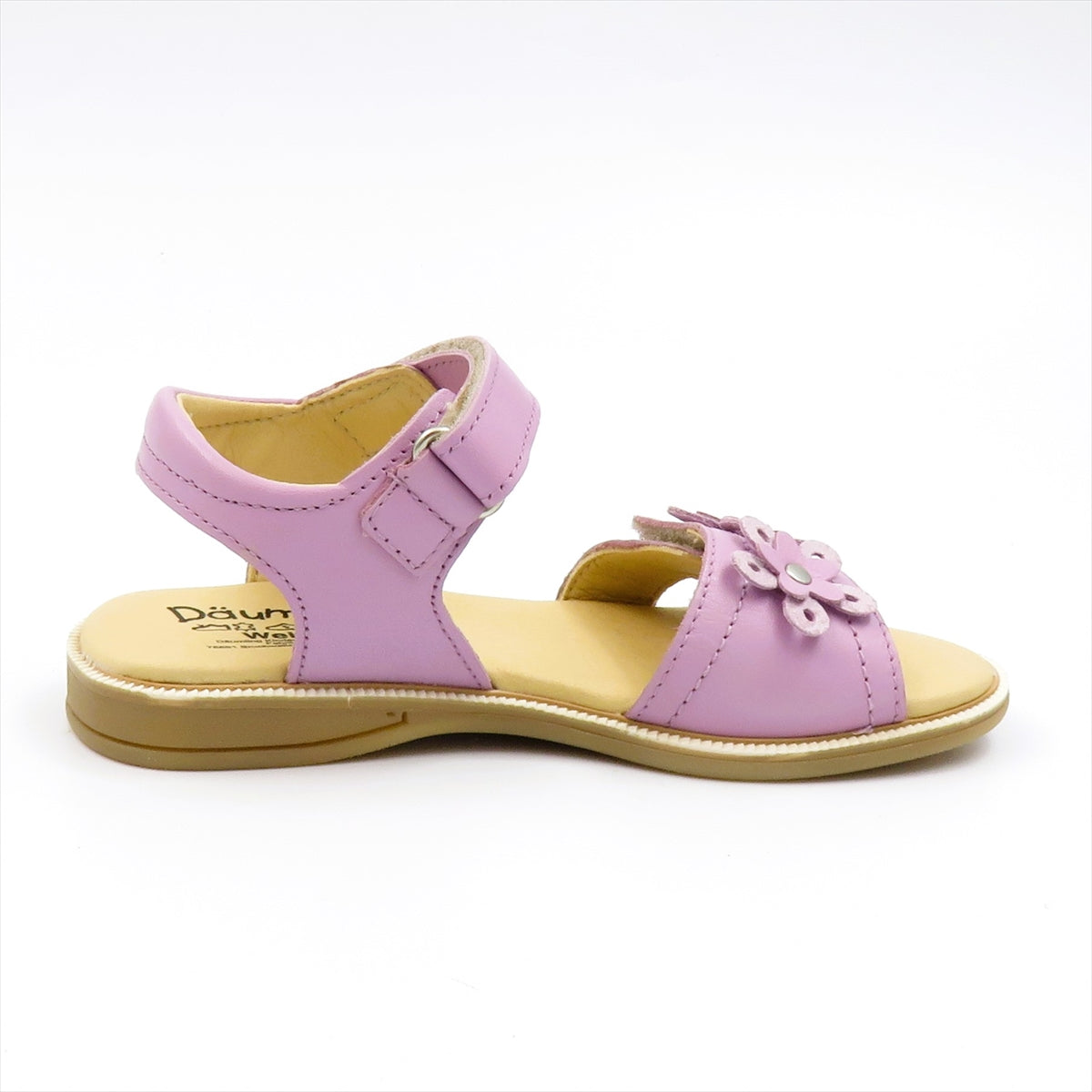 
                  
                    340201 VIOLETTO
                  
                