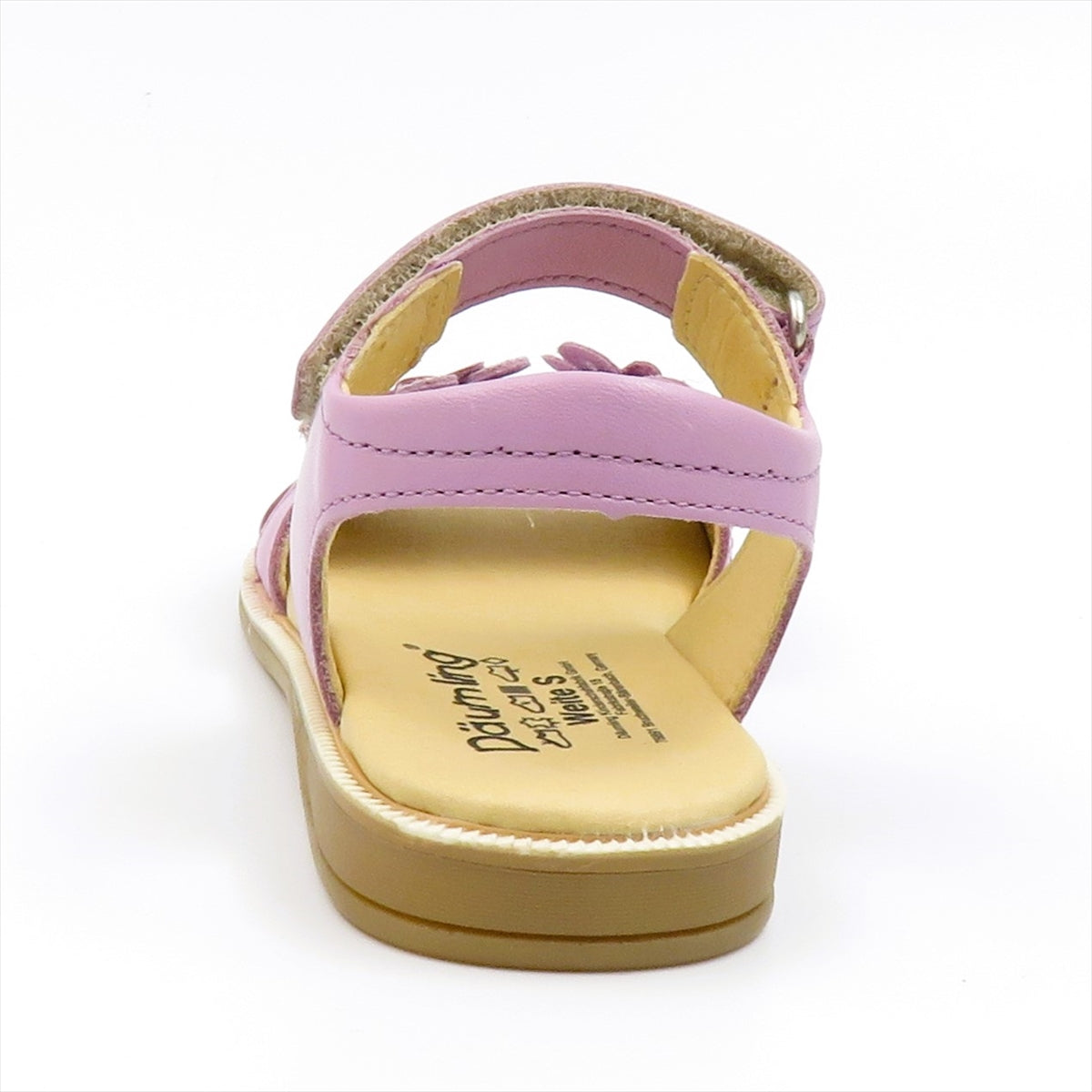 
                  
                    340201 VIOLETTO
                  
                