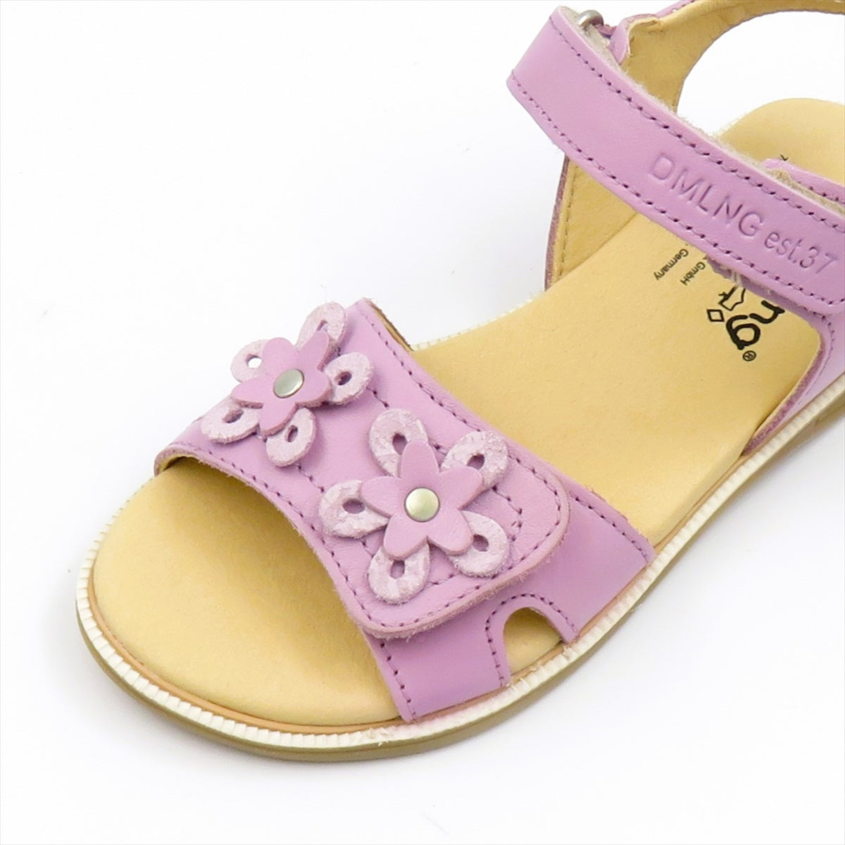 
                  
                    340201 VIOLETTO
                  
                
