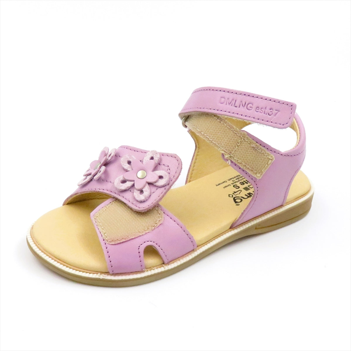 
                  
                    340201 VIOLETTO
                  
                