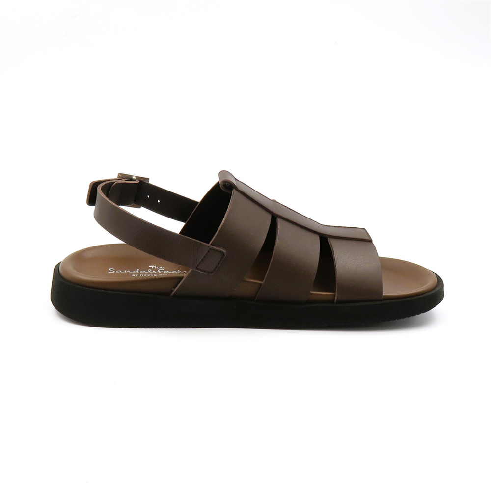 
                  
                    M8050 BROWN
                  
                