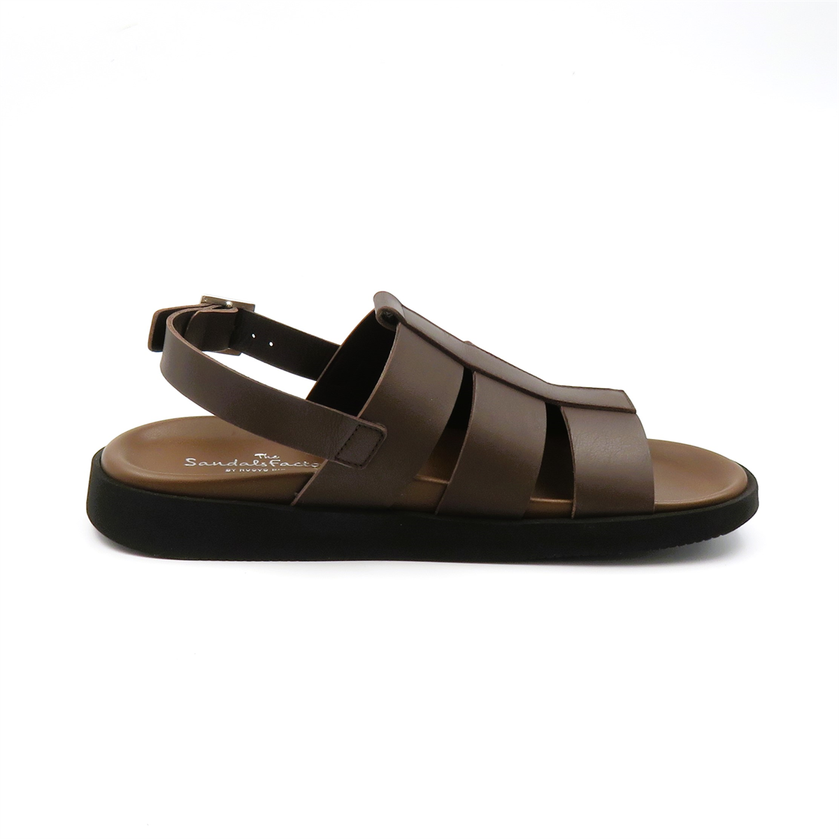 
                  
                    M8050 BROWN
                  
                