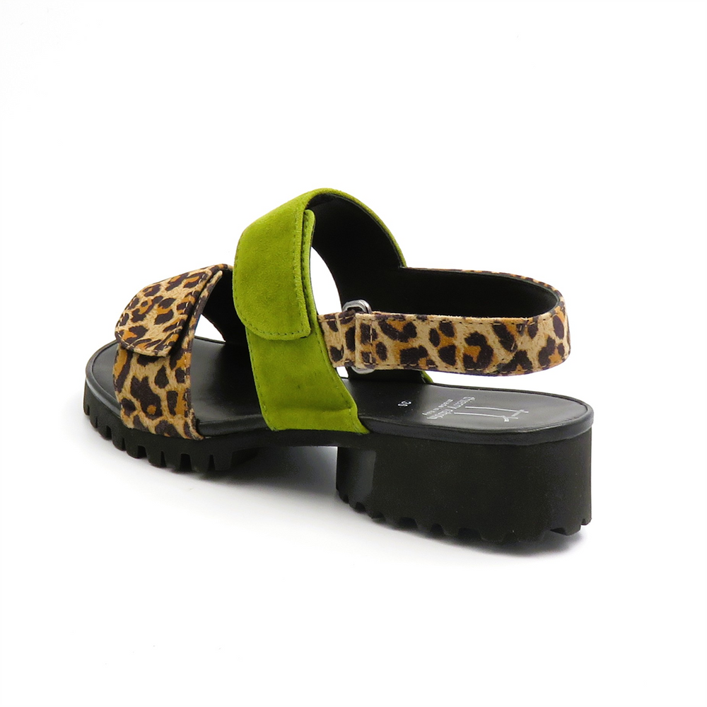
                  
                    1310T LEO.LIME
                  
                