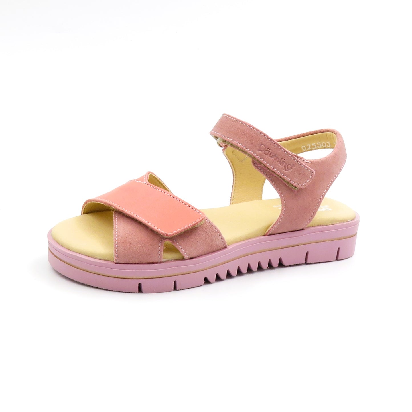 
                  
                    310351 T.MALVA
                  
                