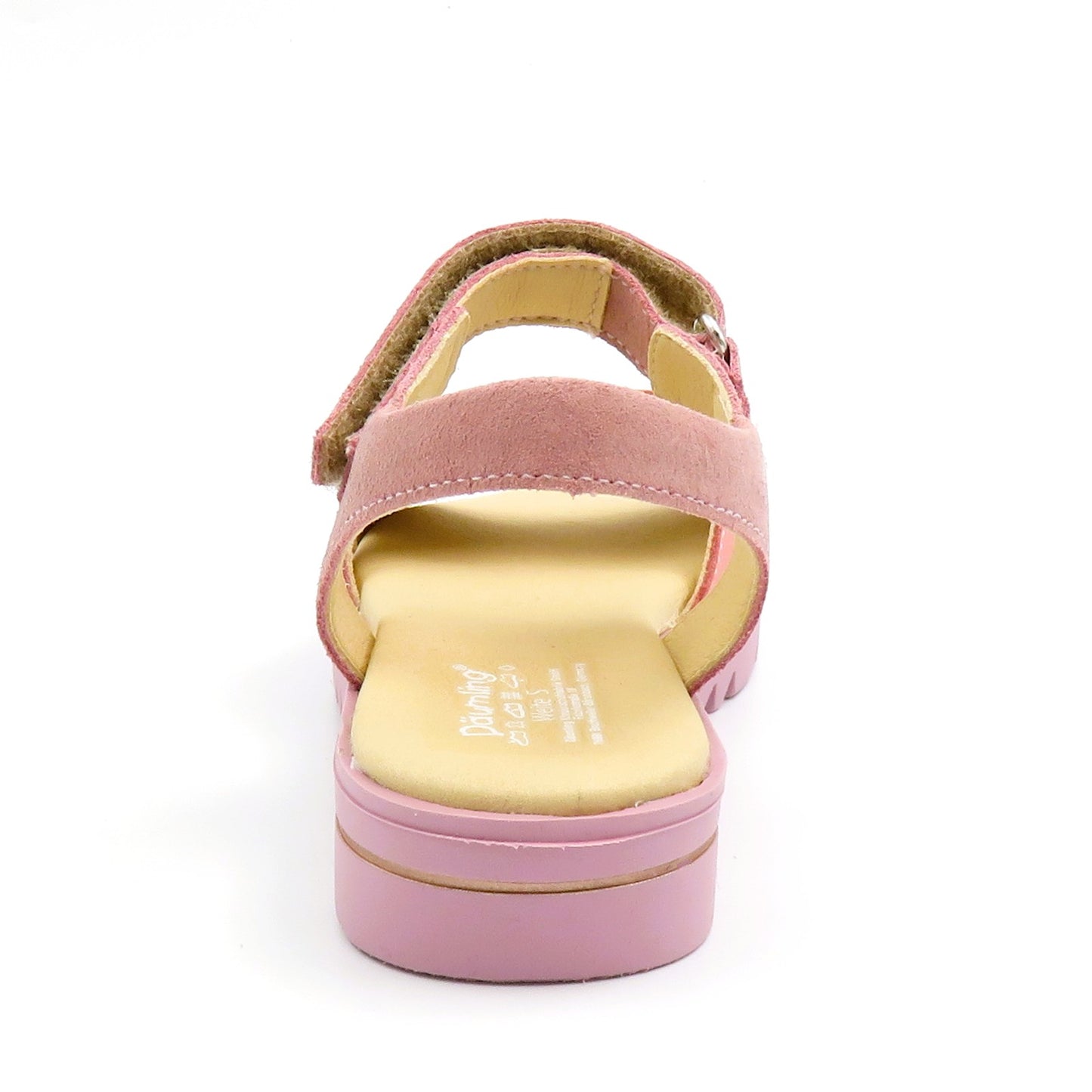
                  
                    310351 T.MALVA
                  
                