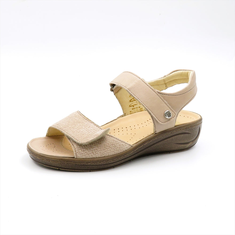 433049 NOCCIOLA