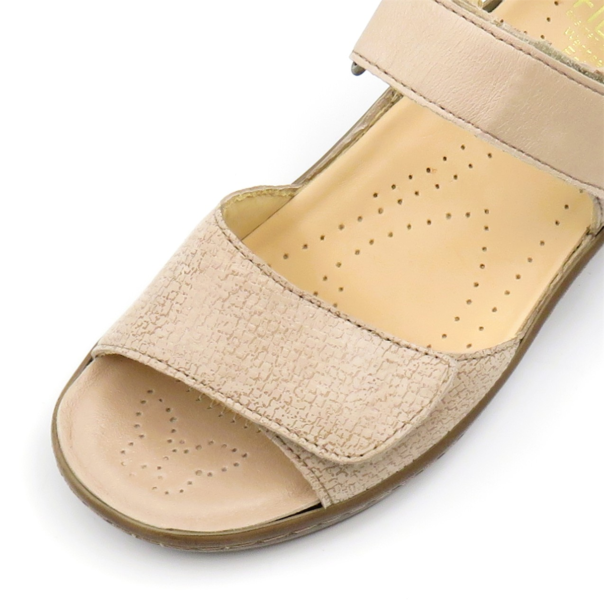 
                  
                    433049 NOCCIOLA
                  
                