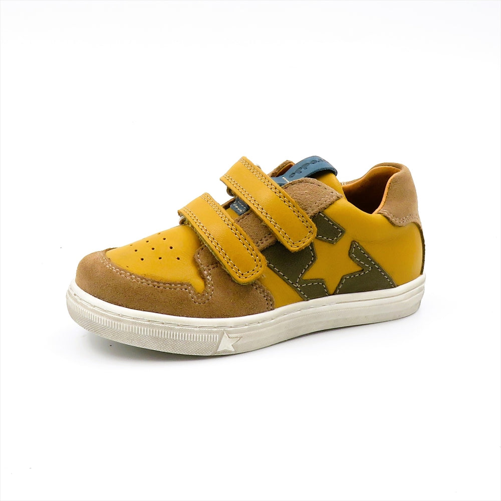 G2130356 MUSTARD